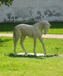Great Pardubice Steeplechase